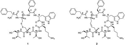 DOTA-Derivatives of Octreotide Dicarba-Analogs with High Affinity for Somatostatin sst2,5 Receptors